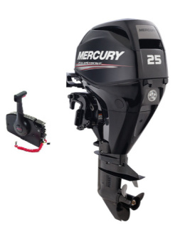 MERCURY F25 AmberJack E EFI